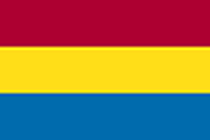 Povijesna zastava grada Rijeke
