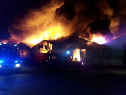 Požar na Škurinjama, Elgrad