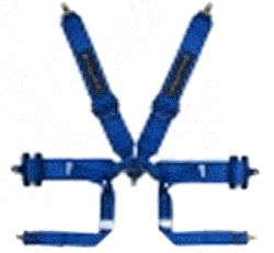 6 point safety belt