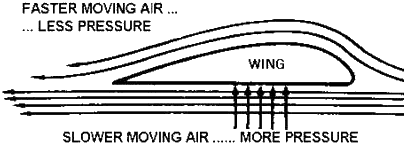 Coanda and Bernoulli on wing