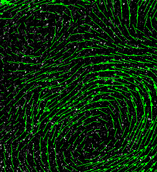 Particle Image Velocimetry calculation